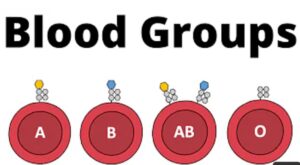 blood group A-, B-, O-