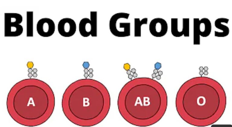 Are you a lady with blood group A-, B-, O-: Read this very important