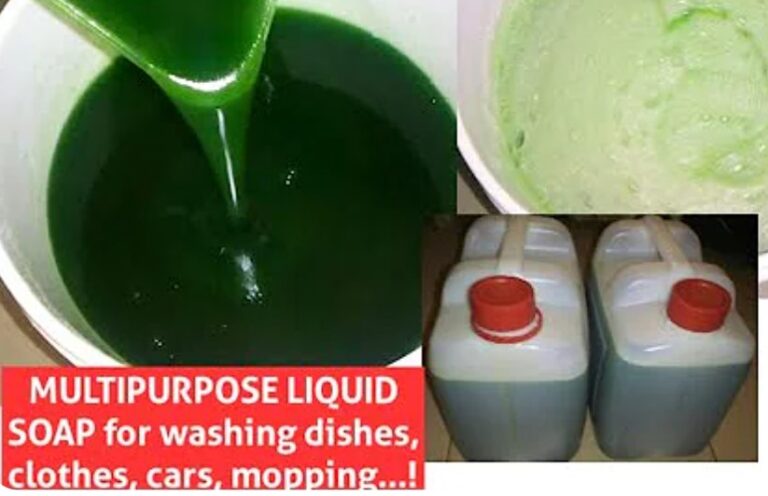 Home Made Domestic Liquid Soap
