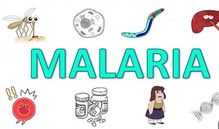 Malaria: Causes, Symptoms, Prevention, Treatment
