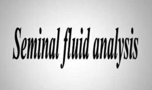 Seminal Fluid Analysis (SFA)