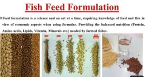 Fish Feed Formulation
