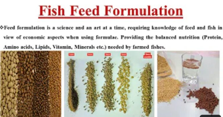Fish Feed: Physical Properties of Quality Fish Feed