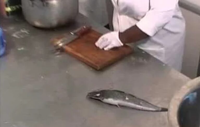 Fish Processing and Handling