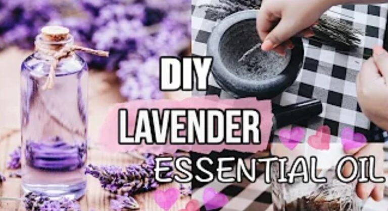 How to Make A Lavender Essential Oil